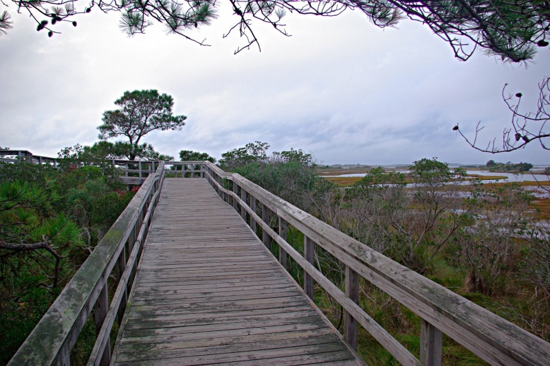 Assateague-Island-boardwalk-IMGP3614