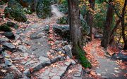 2018-yosemite-path10x16-scaled