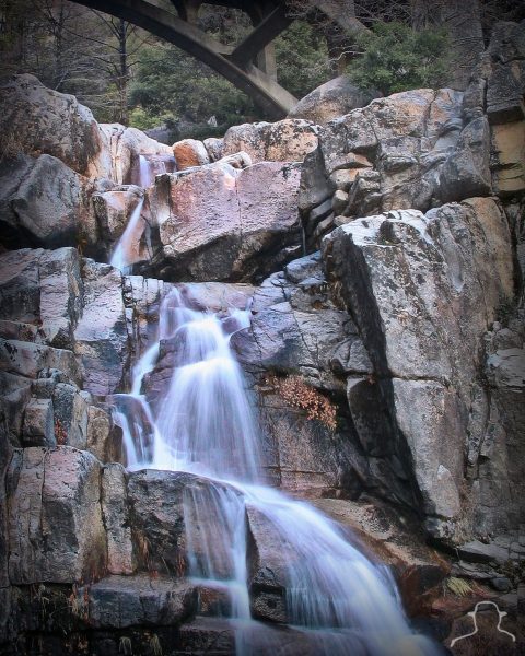 2019-Cascade-Creek-Yosemite_6965-scaled